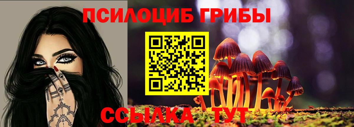 Галлюциногенные грибы ЛСД  Псилоцибиновые грибы прущие грибы  Вход с VPN  дарнет шоп  Троицк 