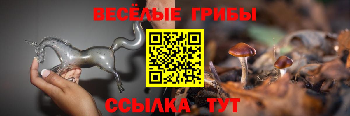 Псилоцибиновые грибы Magic Shrooms Троицк
